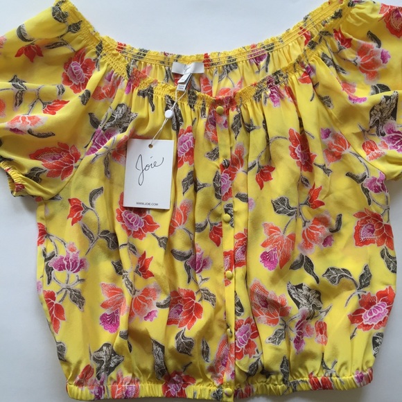 Joie Derfuta Floral Silk Boho Crop Top NWT $228 - Picture 3 of 8